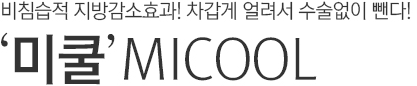 비침습적 지방감소효과! 차갑게 얼려서 수술없이 뺀다! 미쿨 MICOOL