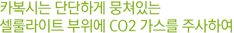 이산화탄소를 이용해서 국소적인 부위의 비만을 없애주는 치료법.
