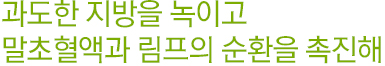 과도한 지방을 녹이고 말초혈액과 림프의 순환을 촉진해