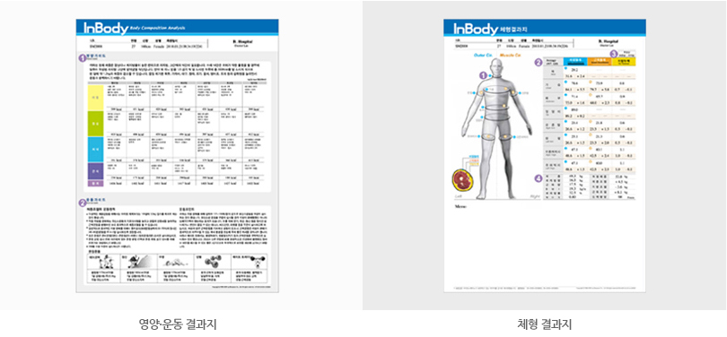 영양 운동 결과지 체형 결과지 그림