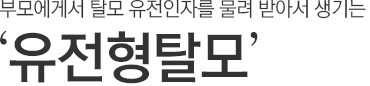 부모에게서 탈모 유전인자를 물려 받아서 생기는 유전형탈모.