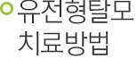 유전형탈모 치료방법