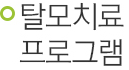 탈모치료 프로그램