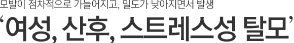모발이 점차적으로 가늘어지고, 밀도가 낮아지면서 발생. 여성,산후,스트레스성 탈모
