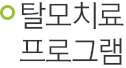 탈모치료 프로그램