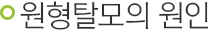 원형탈모의 원인