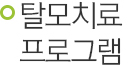 탈모치료 프로그램