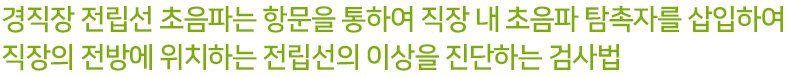 경직장 전립선 초음파는 항문을 통하여 직장 내 초음파 탐촉자를 삽입하여 직장의 전방에 위치하는 전립선의 이상을 진단하는 검사법