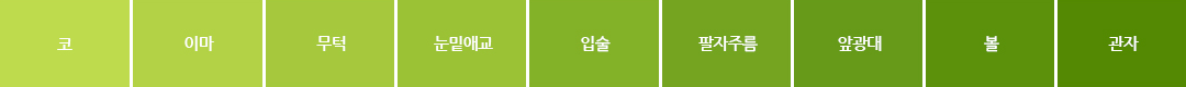 코,이마,무턱,눈밑애교,입술,팔자주름,앞광대,볼,관자