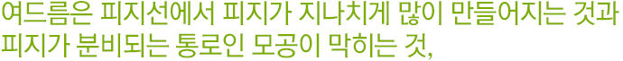 여드름은 피지선에서 피지가 지나치게 많이 만들어지는 것과 피지가 분비되는 통로인 모공이 막히는 것.