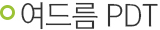 여드름 PDT