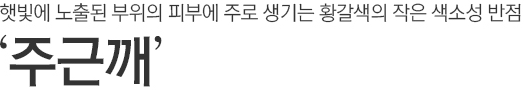 햇빛에 노출된 부위의 피부에 주로 생기는 황갈색의 작은 색소성 반점. 주근깨