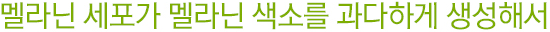 멜라닌 세포가 멜라닌 색소를 과다하게 생성해서