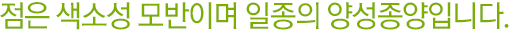 점은 색소성 모반이며 일종의 양성종양입니다.