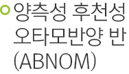 양측성 후천성 오타모반양 반(ABNOM)