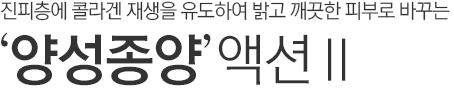진피층에 콜라겐 재생을 유도하여 밝고 깨끗한 피부로 바꾸는 양성종양 액션2