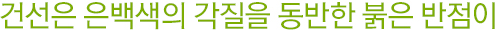 건선은 은백색의 각질을 동반한 붉은 반점이