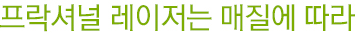 프락셔널 레이저는 매질에 따라