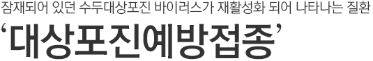 잠재되어 있던 수두대상포진 바이러스가 재활성화되어 나타나는 질환. 대상포진예방접종.