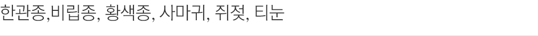 한관종,비립종,황색종,사마귀,쥐젖,티눈