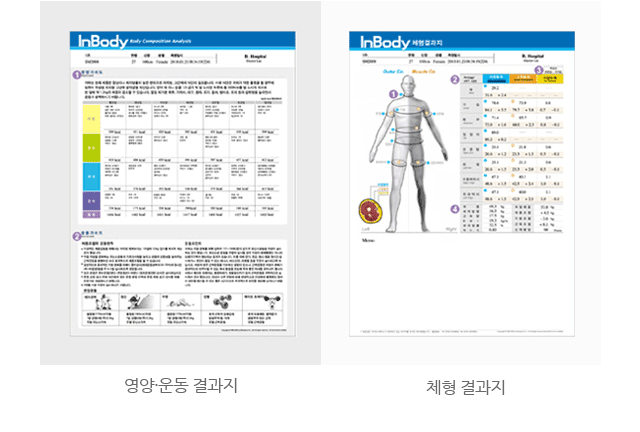 영양.운동 결과지. 체형 결과지.