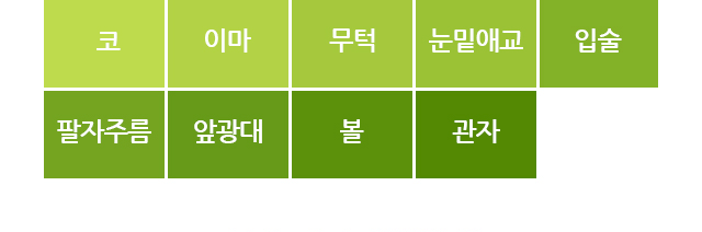 코,이마,무턱,눈밑애교,입술,팔자주름,앞광대,볼,관자.
