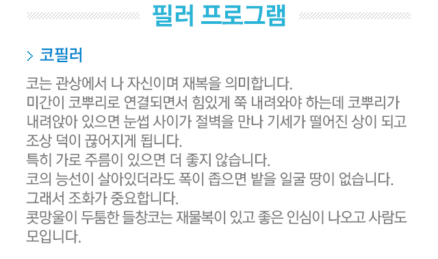필러 프로그램. 코필러. 코는 관상에서 나 자신이며 재복을 의미합니다. 미간이 코뿌리로 연결되면서 힘있게 쭉 내려와야 하는데 코뿌리가 내려앉아 있으면 눈썹 사이가 절벽을 만나 기세가 떨어진 상이 되고 조상 덕이 끊어지게 됩니다. 특히 가로 주름이 있으면 더 좋지 않습니다. 코의 능선이 살아있더라도 폭이 좁으면 밭을 일굴 땅이 없습니다. 그래서 조화가 중요합니다. 콧망울이 두툼한 들창코는 재물복이 있고 좋은 인심이 나오고 사람도 모입니다.