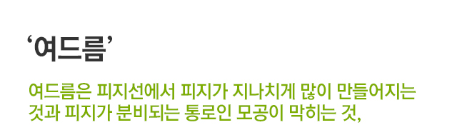 여드름. 여드름은 피지선에서 피지가 지나치게 많이 만들어지는 것과 피지가 분비되는 통로인 모공이 막히는 것,