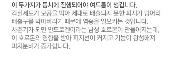 이 두가지가 동시에 진행되어야 여드름이 생깁니다. 각질세포가 모공을 막아 제대로 배출되지 못한 피지가 덩어리 배출구를 막아버리기 때문에 염증을 일으키는 것입니다. 사춘기가 되면 안드로겐이라는 남성 호르몬이 만들어지는데, 이 호르몬의 영향을 받아 피지선이 커지고 기능이 왕성해져 피지분비가 증가합니다.
