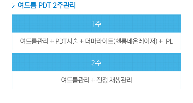 여드름 PDT 2주관리. 1주=여드름관리+PDT시술+더마라이트(헬륨네온레이저)+IPL. 2주=여드름관리+진정 재생관리.