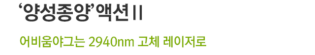 양성종양 액션2. 어비움야그는 2940nm 고체 레이저로