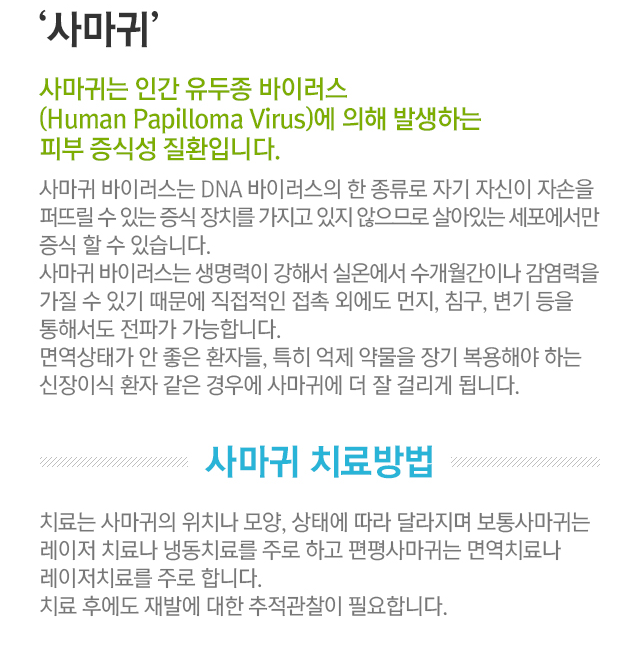사마귀. 사마귀는 인간 유두종 바이러스에 의해 발생하는 피부 증식성 질환입니다. 사마귀 바이러스는 DNA 바이러스의 한 종류로 자기 자신이 자손을 퍼뜨릴 수 있는 증식 장치를 가지고 있지 않으므로 살아있는 세포에서만 증식할 수 있습니다. 사마귀 바이러스는 생명력이 강해서 실온에서 수개월간이나 감염력을 가질 수 있기 때문에 직접적인 접촉외에도 먼지, 침구, 변기 등을 통해서도 전파가 가능합니다. 면역상태가 안 좋은 환자들, 특히 억제 약물을 장기 복용해야 하는 신장이식 환자 같은 경우에 사마귀에 더 잘 걸리게 됩니다. 사마귀 치료방법=치료는 사마귀의 위치나 모양, 상태에 따라 달라지며 보통 사마귀는 레이저 치료나 냉동치료를 주로 하고 편평 사마귀는 면역치료와 레이저치료를 주로 합니다. 치료 후에도 재발에 대한 추적관찰이 필요합니다.