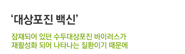 대상포진 백신. 잠재되어 있던 수두대상포진 바이러스가 재활성화되어 나타나는 질환이기 때문에.