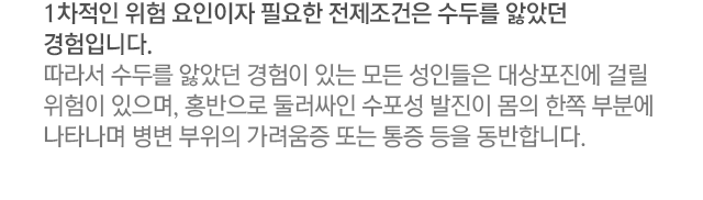 1차적인 위험 요인이자 필요한 전제조건은 수두를 앓았던 경험입니다. 따라서 수두를 앓았던 경험이 있는 모든 성인들은 대상포진에 걸릴 위험이 있으며, 홍반으로 둘러싸인 수포성 발진이 몸의 한쪽 부분에 나타나며 병변 부위의 가려움증 또는 통증 등을 동반합니다.